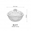 BL577 #2